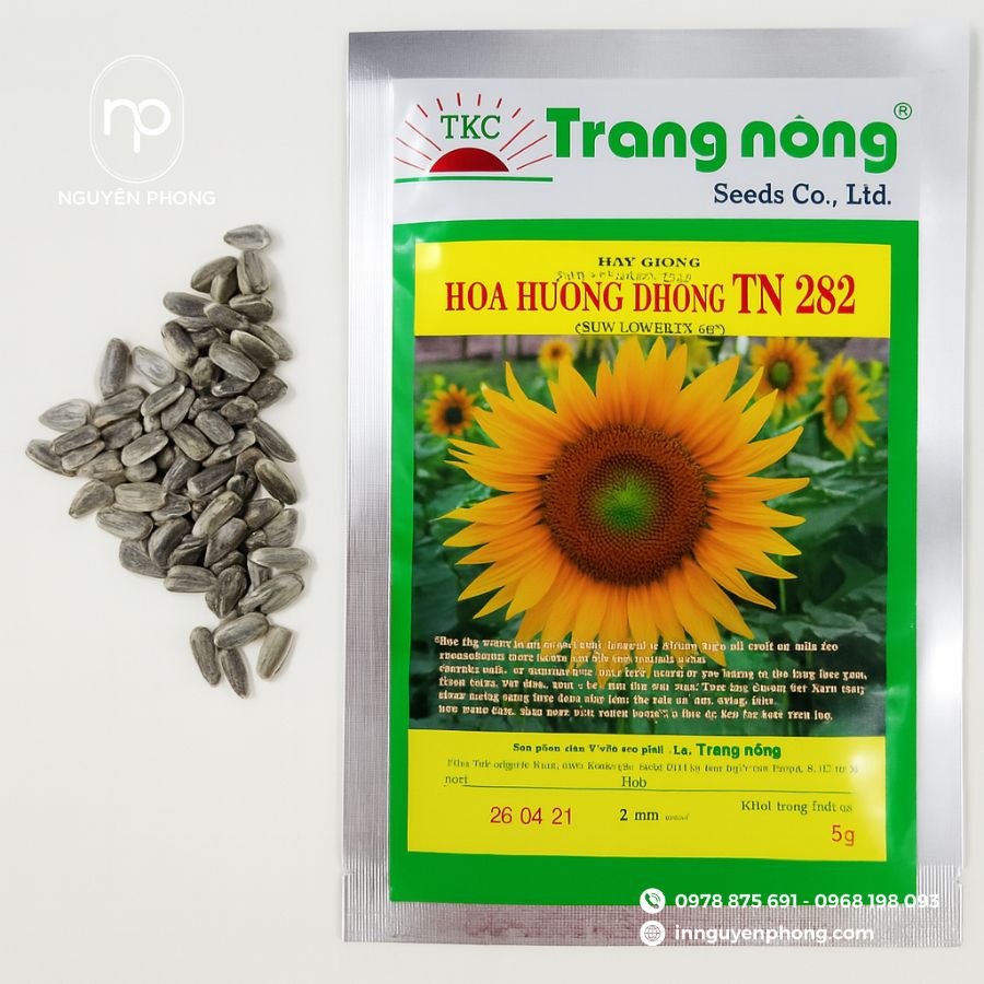 in-tem-dan-hat-giong-gia-re-tai-ha-noi